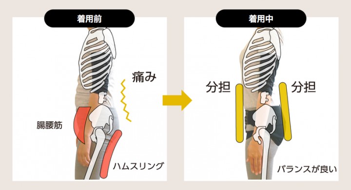 腰痛についてのブログ記事一覧 Cloverc Online Shop