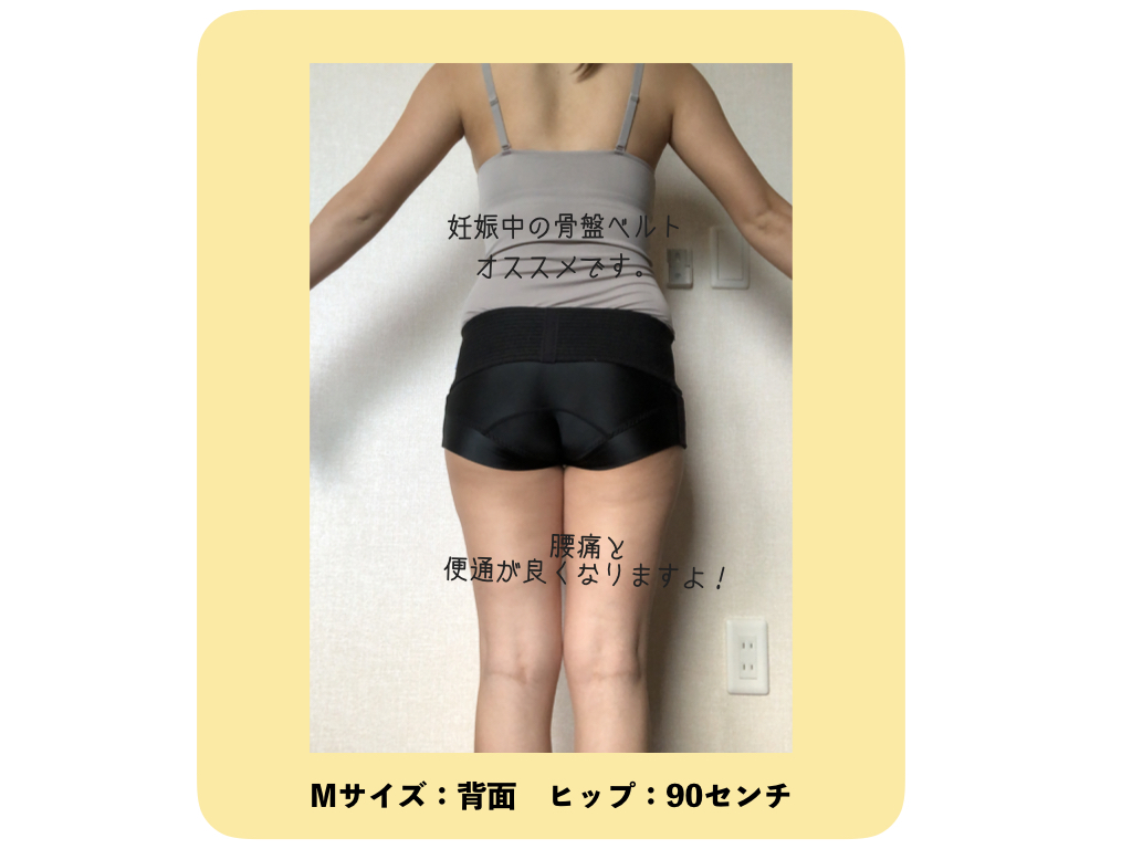 フィットキープ2骨盤ベルト：Mサイズの着用感【妊娠中】 | CLOVERC